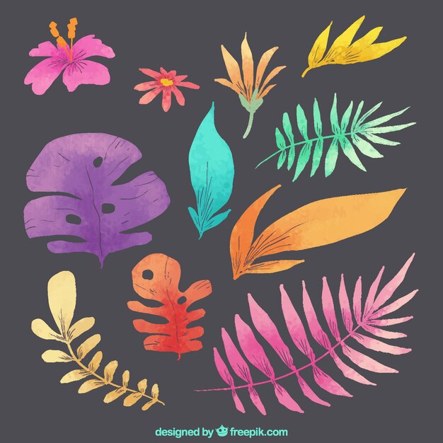 Pack elegante de elementos florales dibujados a mano