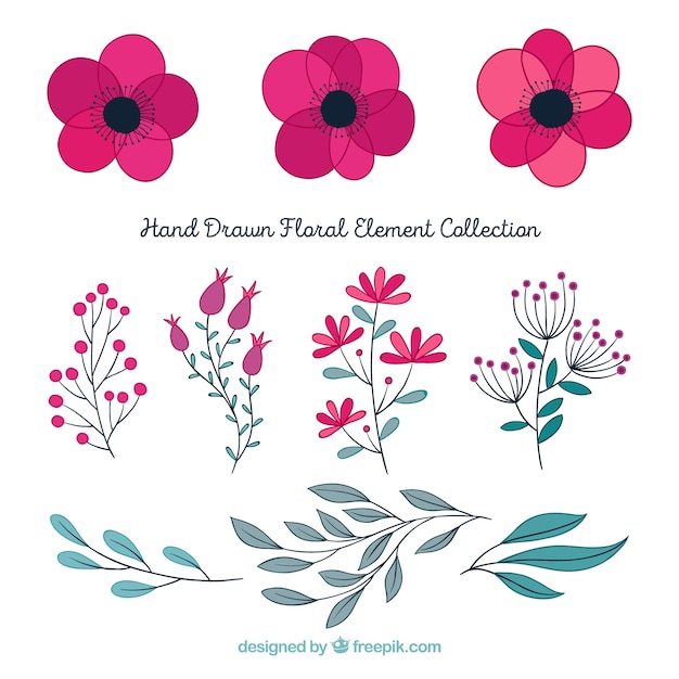 Vector gratuito pack elegante de elementos florales dibujados a mano