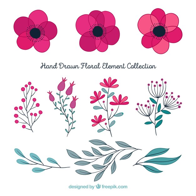 Pack elegante de elementos florales dibujados a mano