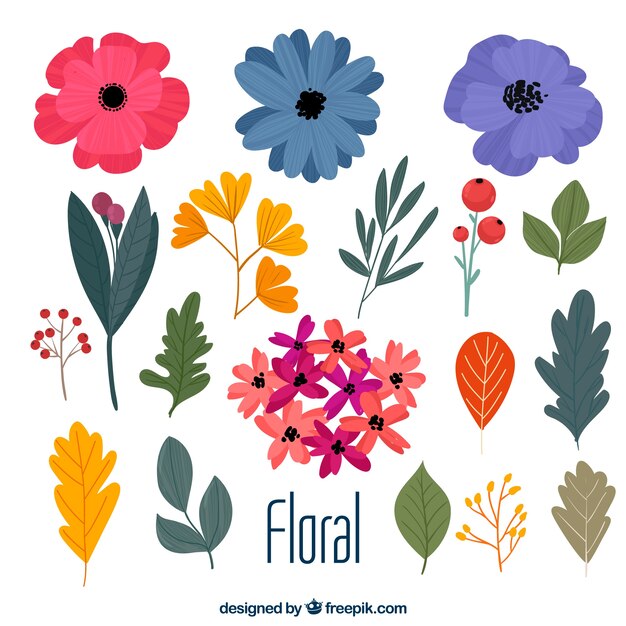 Pack elegante de elementos florales dibujados a mano