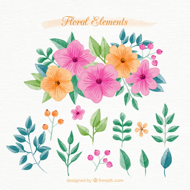 Vector gratuito pack de elementos florales de acuarela