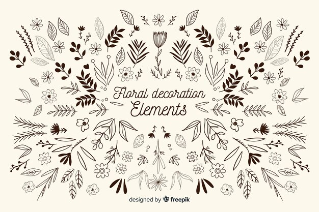 Pack elementos florales ornamentales dibujados a mano