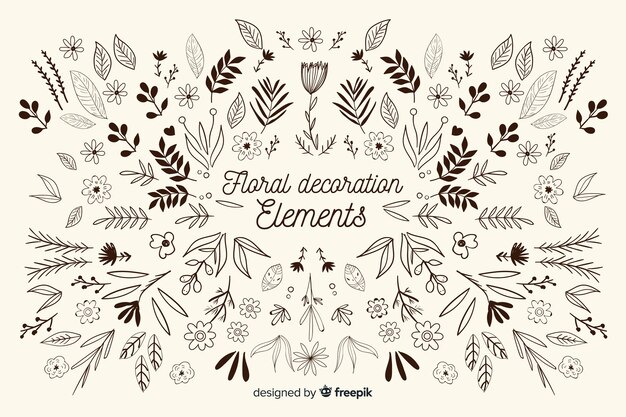 Pack elementos florales ornamentales dibujados a mano