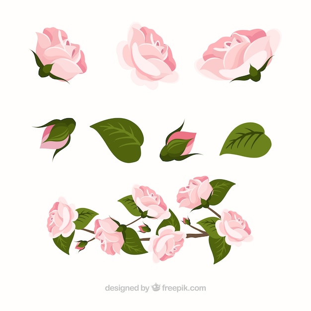 Vector gratuito pack fantástico de rosas realistas