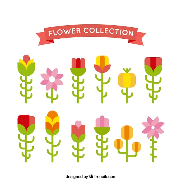 Pack de flores bonitas en diseño plano