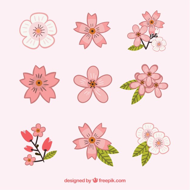 Pack de flores de cerezo dibujadas a mano