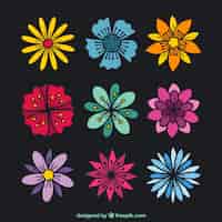 Vector gratuito pack de flores de colores dibujadas a mano