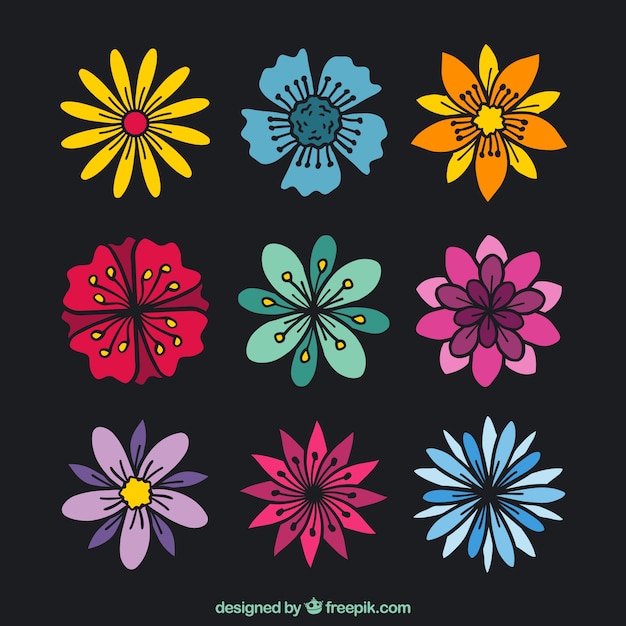 Pack de flores de colores dibujadas a mano 