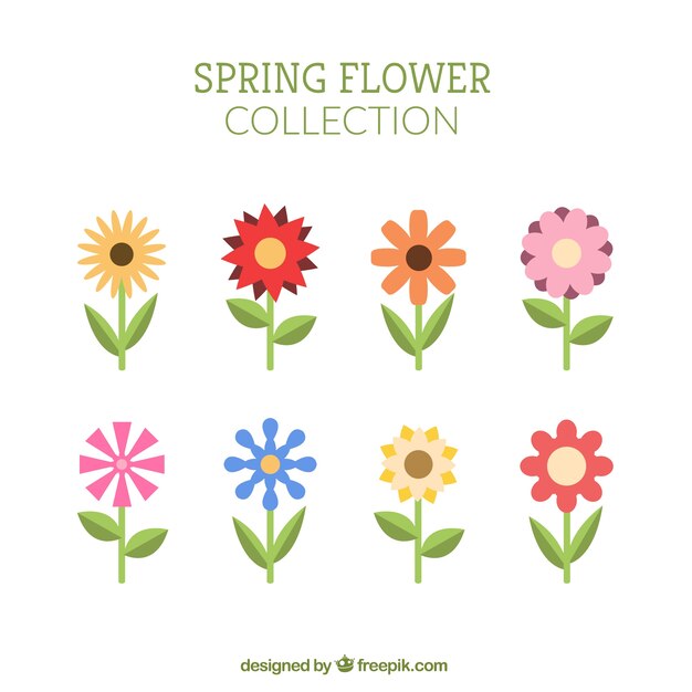 Pack de flores de colores en diseño plano 