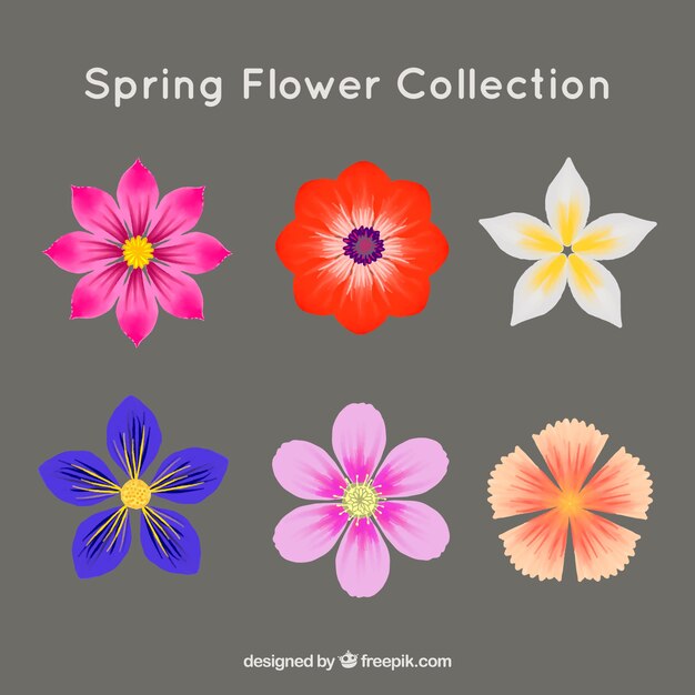 Pack de flores de colores 