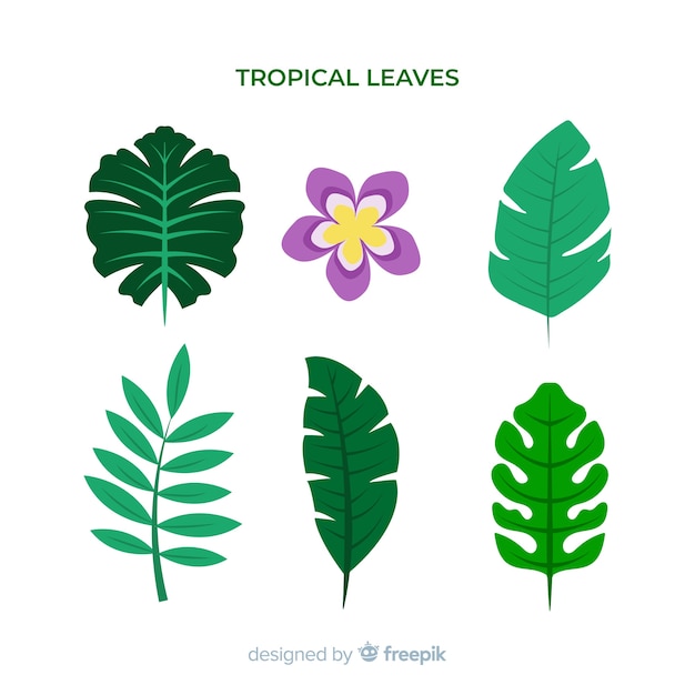 Vector gratuito pack flores y hojas tropicales dibujadas a mano