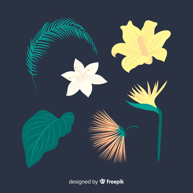 Pack flores y hojas tropicales planas