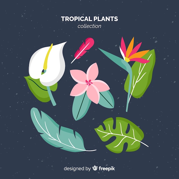 Vector gratuito pack flores y hojas tropicales planas