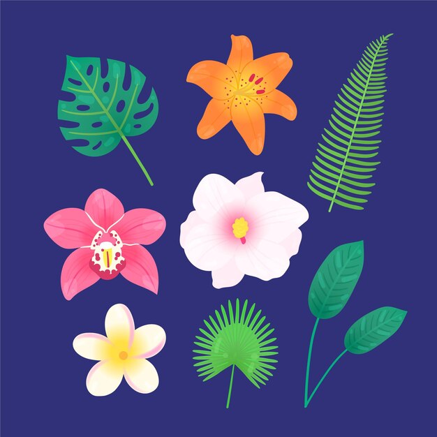Pack de flores y hojas tropicales
