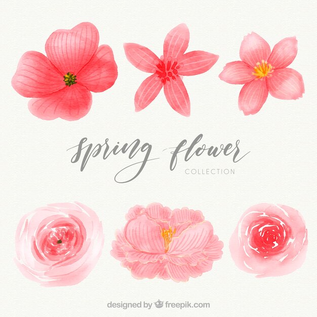 Pack de flores de primavera de acuarela