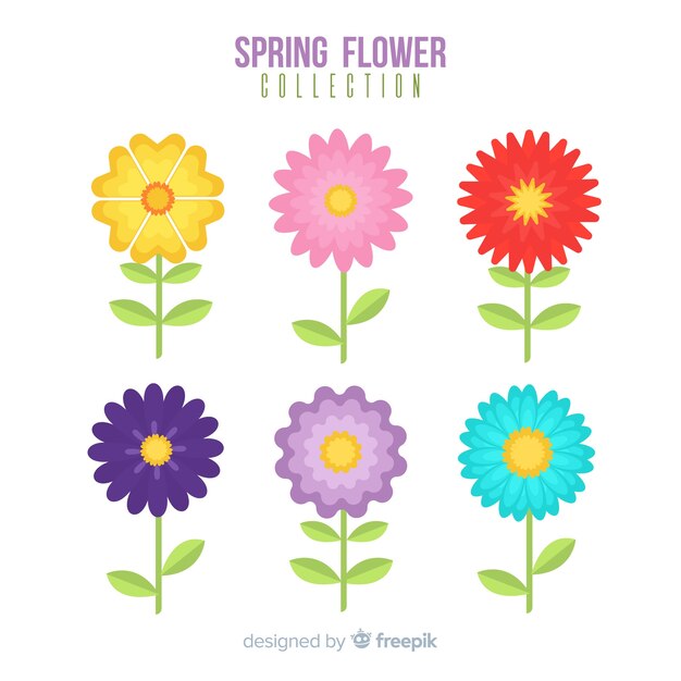Pack flores primavera planas