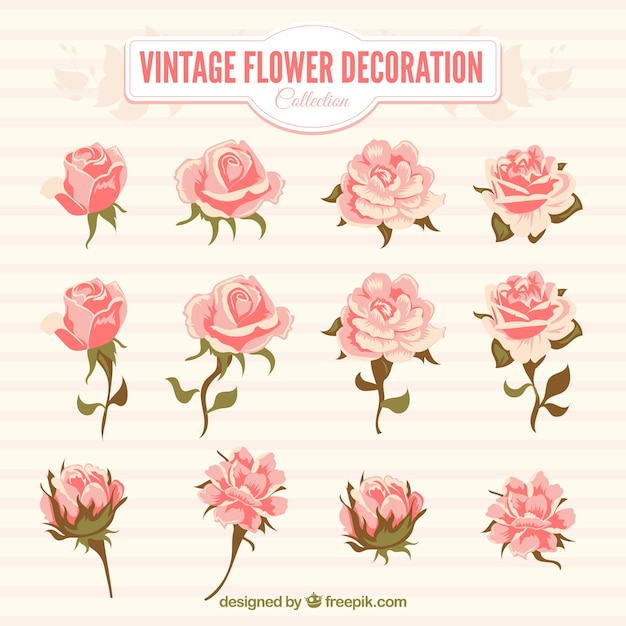 Pack de flores rosas en estilo vintage