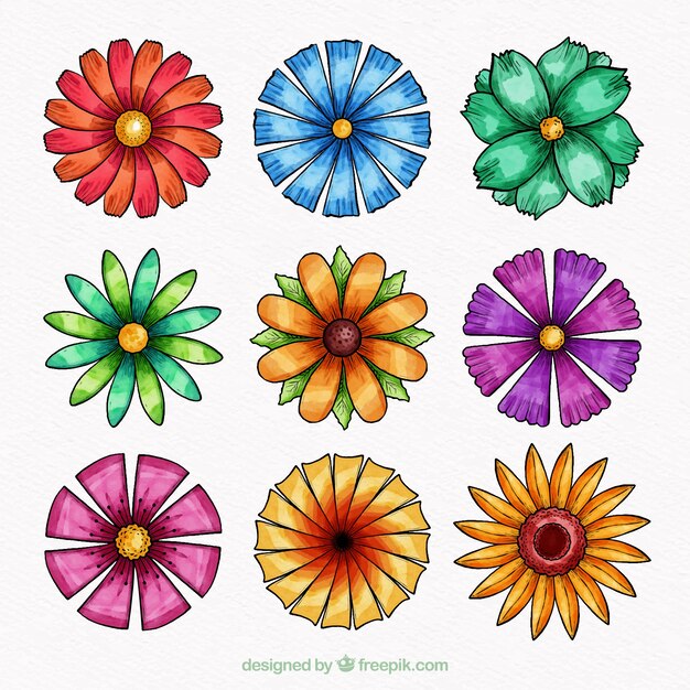 Pack de flores