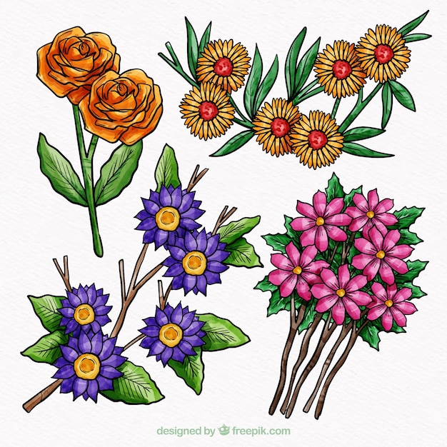 Vector gratuito pack de hermosas flores de acuarela