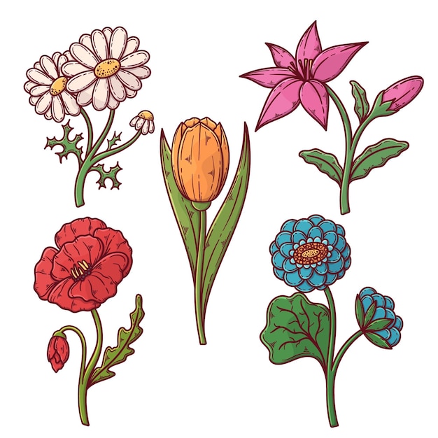 Vector gratuito pack de hermosas flores dibujadas a mano