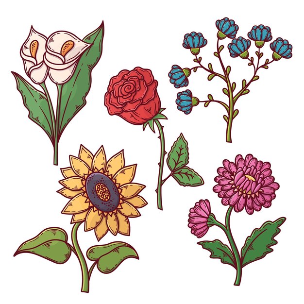 Pack de hermosas flores dibujadas a mano