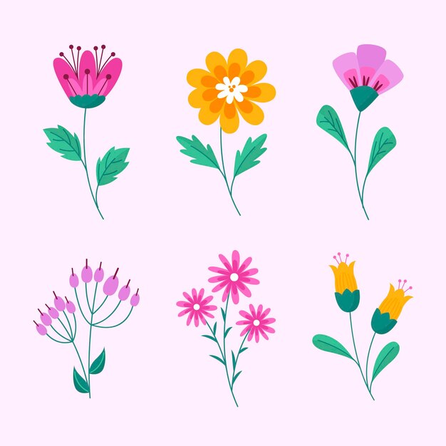 Pack de hermosas flores dibujadas a mano