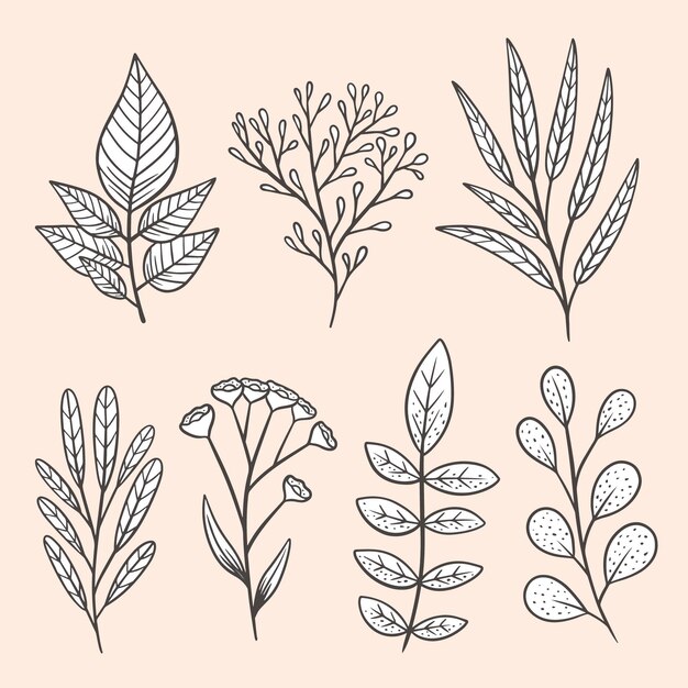 Pack de hermosas flores dibujadas a mano