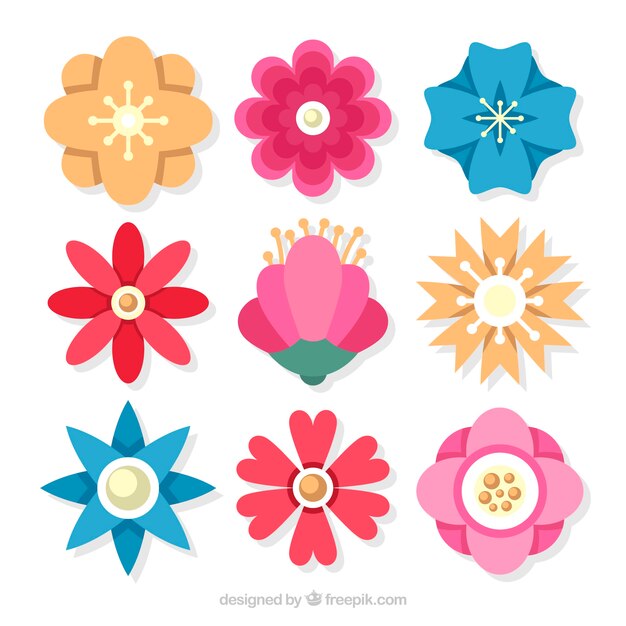 Pack de hermosas flores de primavera