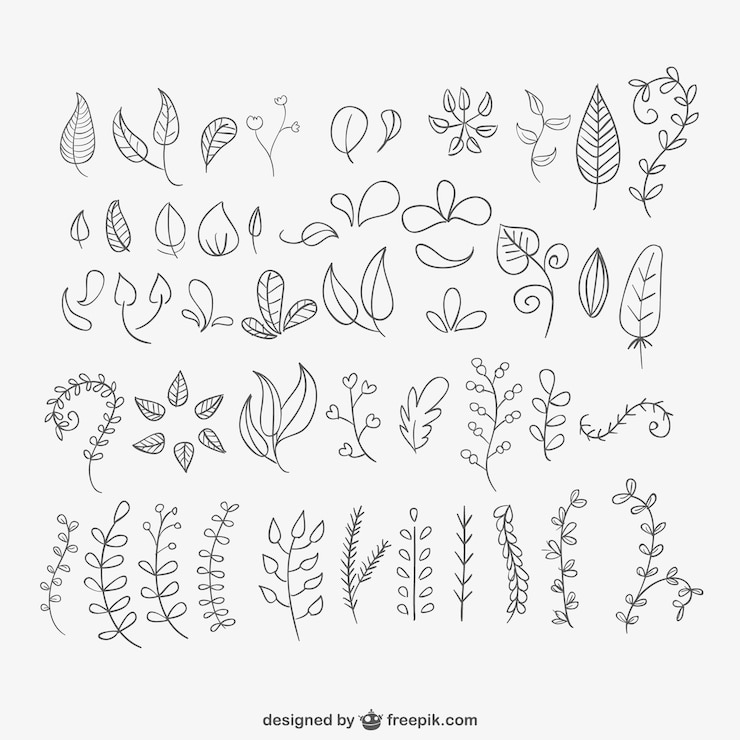 Vector gratuito pack hojas dibujadas a mano