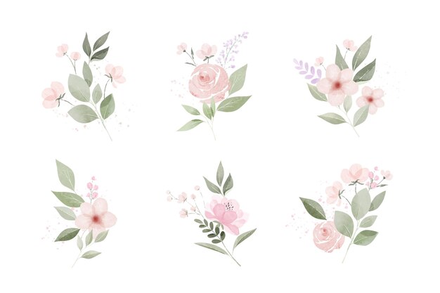 Pack de hojas y flores de acuarela