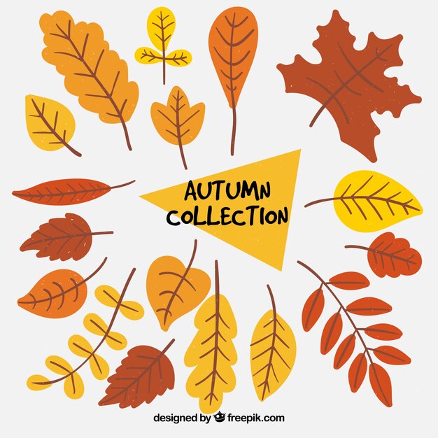 Pack de hojas de otoño dibujadas a mano 