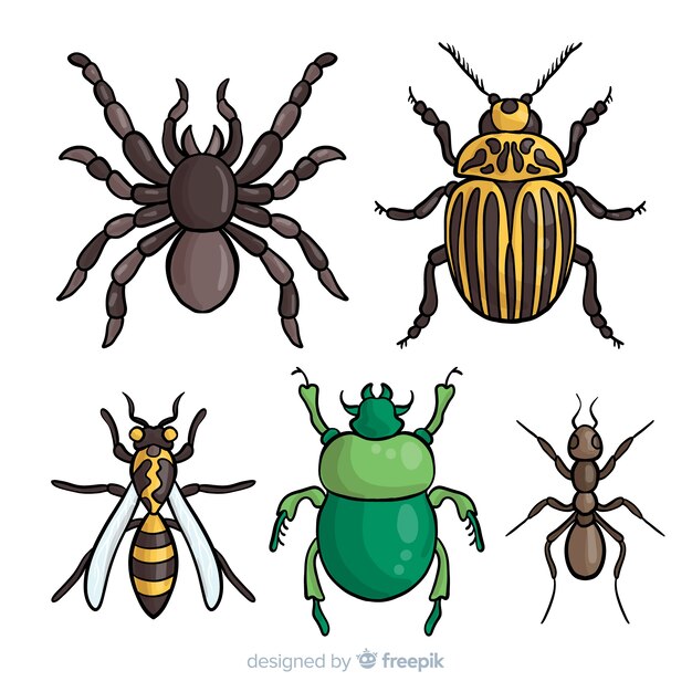 Pack insectos coloridos dibujados a mano