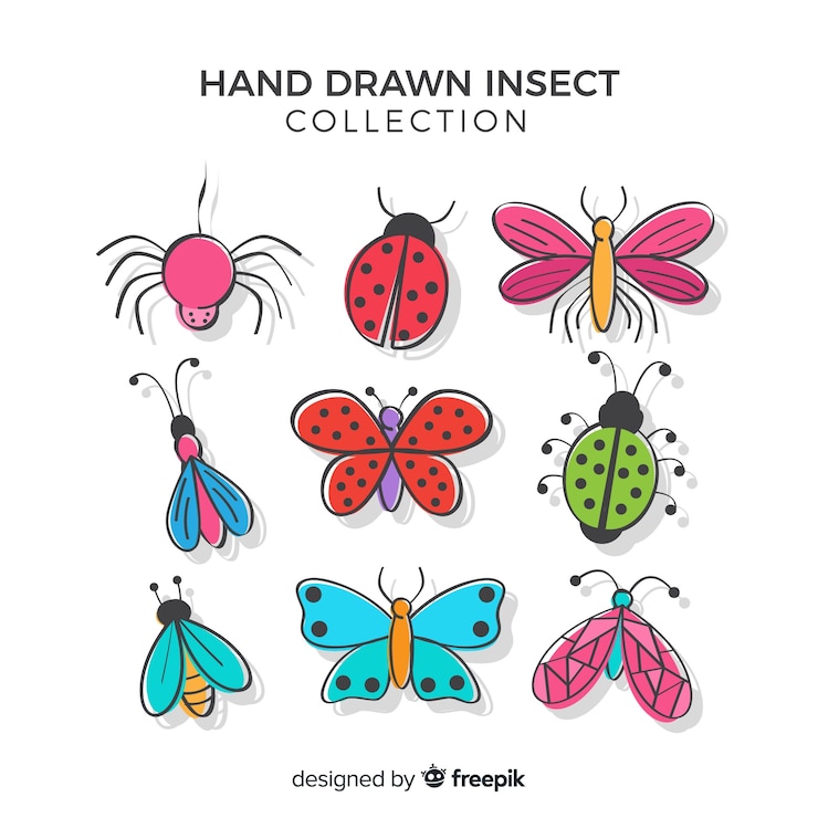 Vector gratuito pack insectos coloridos dibujados a mano