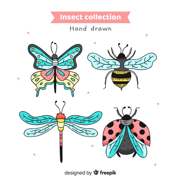 Pack insectos coloridos dibujados a mano