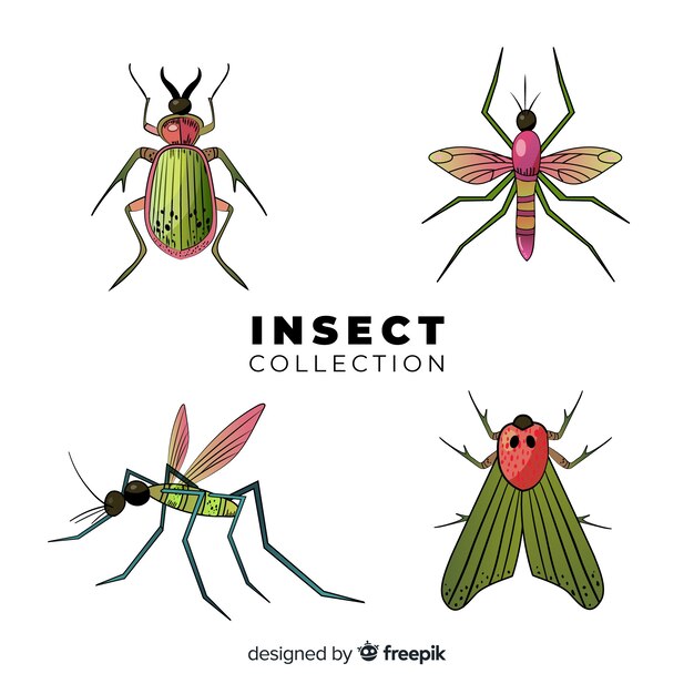 Pack insectos coloridos dibujados a mano