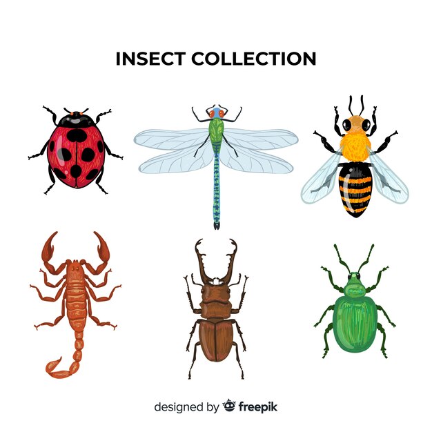 Pack insectos coloridos dibujados a mano
