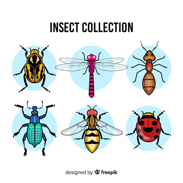 Pack insectos coloridos dibujados a mano