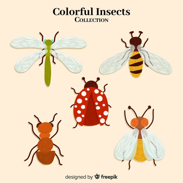 Pack insectos coloridos dibujados a mano
