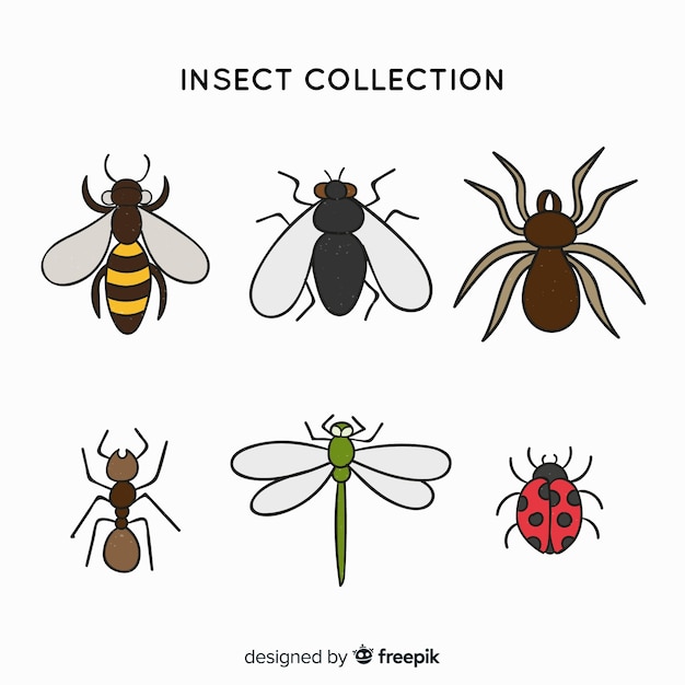 Pack insectos coloridos dibujados a mano