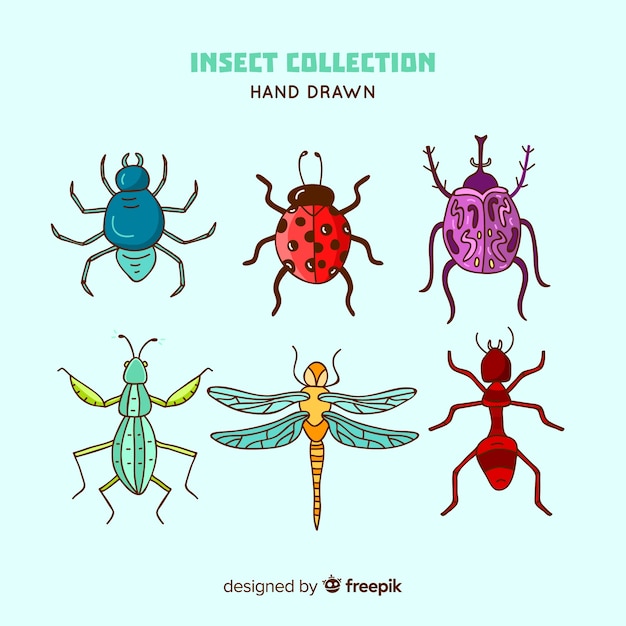 Vector gratuito pack insectos dibujados a mano