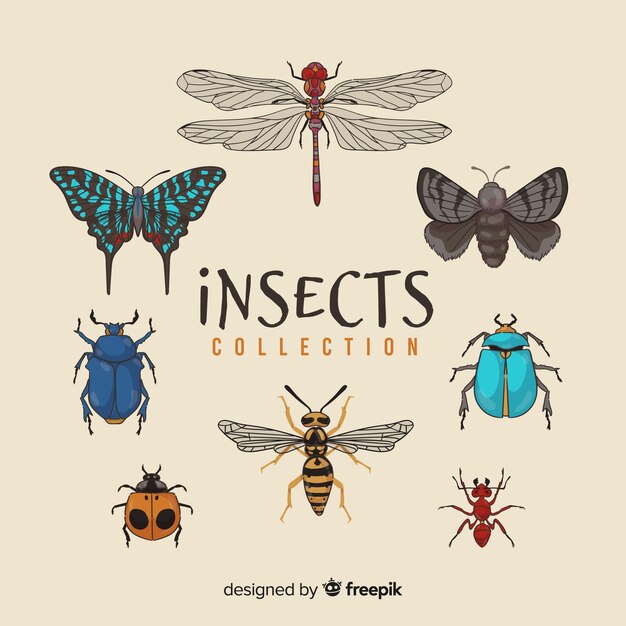 Pack insectos dibujados a mano