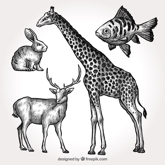 Pack de jirafa con otros animales dibujados a mano 