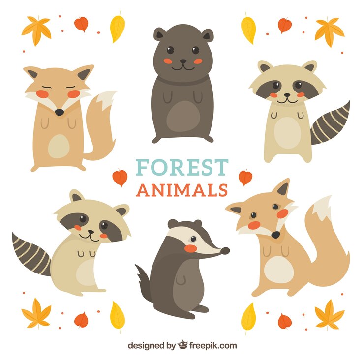 Vector gratuito pack de lindos animales del bosque dibujados a mano