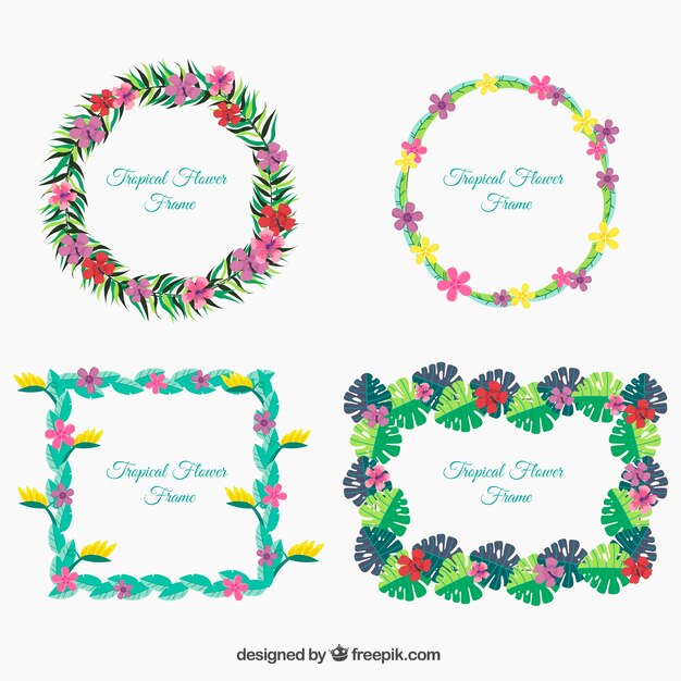 Pack de marcos decorativos con flores y hojas 