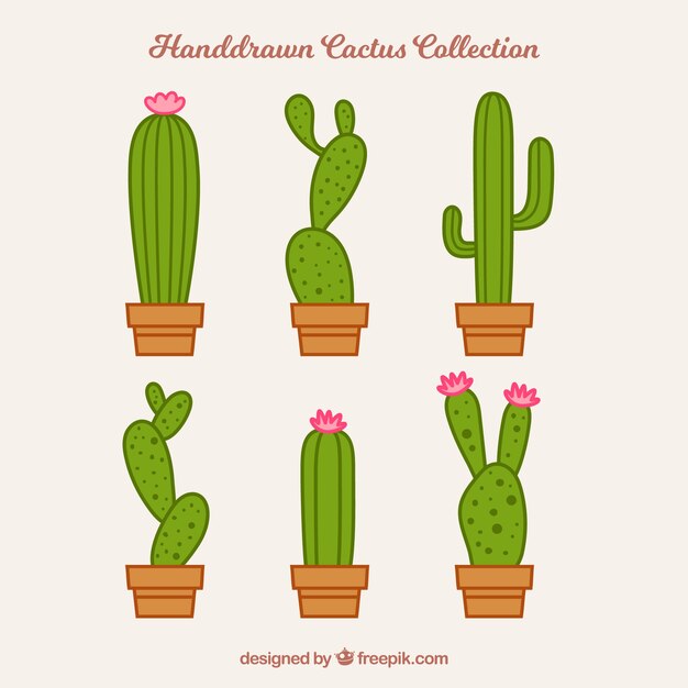 Pack moderno de cactus adorables