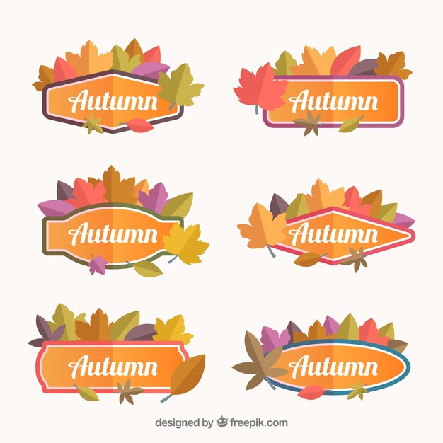 Pack moderno de insignias de otoño