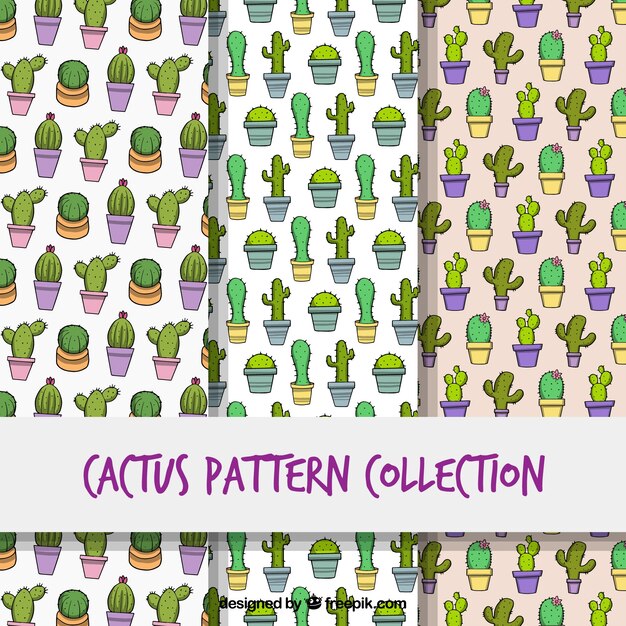 Pack moderno de patrones coloridos de cactus