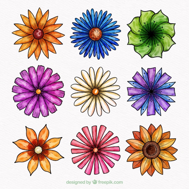 Vector gratuito pack de nueve flores