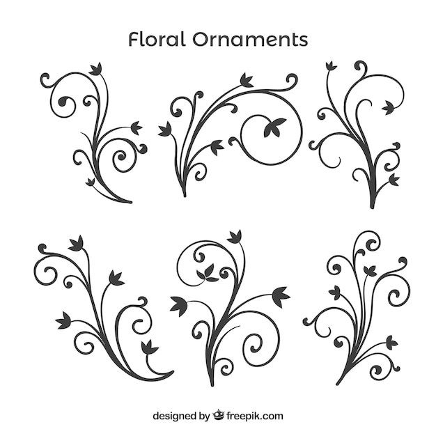 Vector gratuito pack de ornamentos florales dibujados a mano