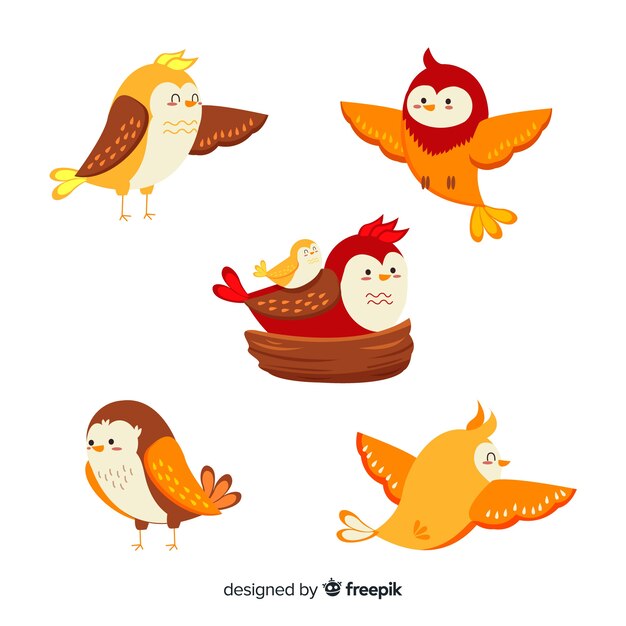 Pack de pájaros dibujados a mano